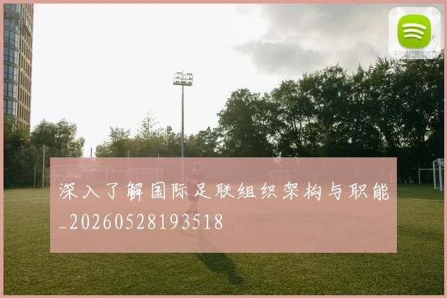 深入了解国际足联组织架构与职能_20260528193518