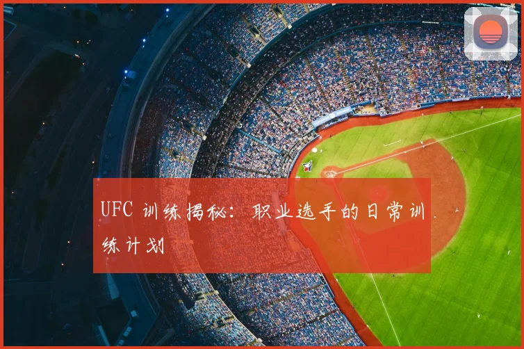 UFC 训练揭秘:职业选手的日常训练计划