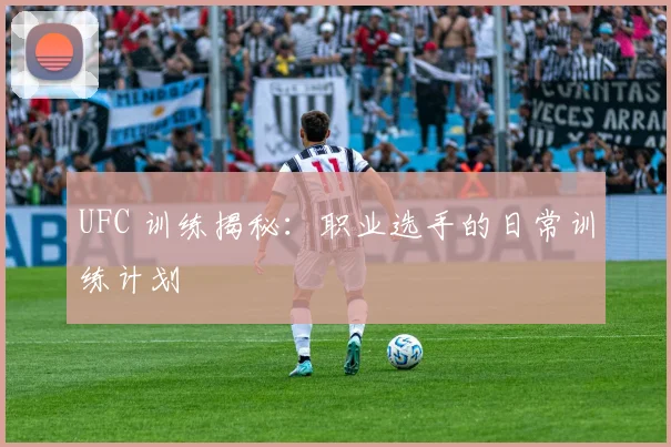 UFC 训练揭秘:职业选手的日常训练计划