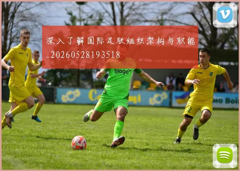 深入了解国际足联组织架构与职能_20260528193518